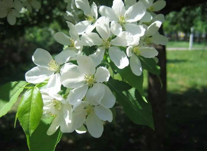 №38, Наталия Машковцева, Пермь №38, Наталия Машковцева, Пермь