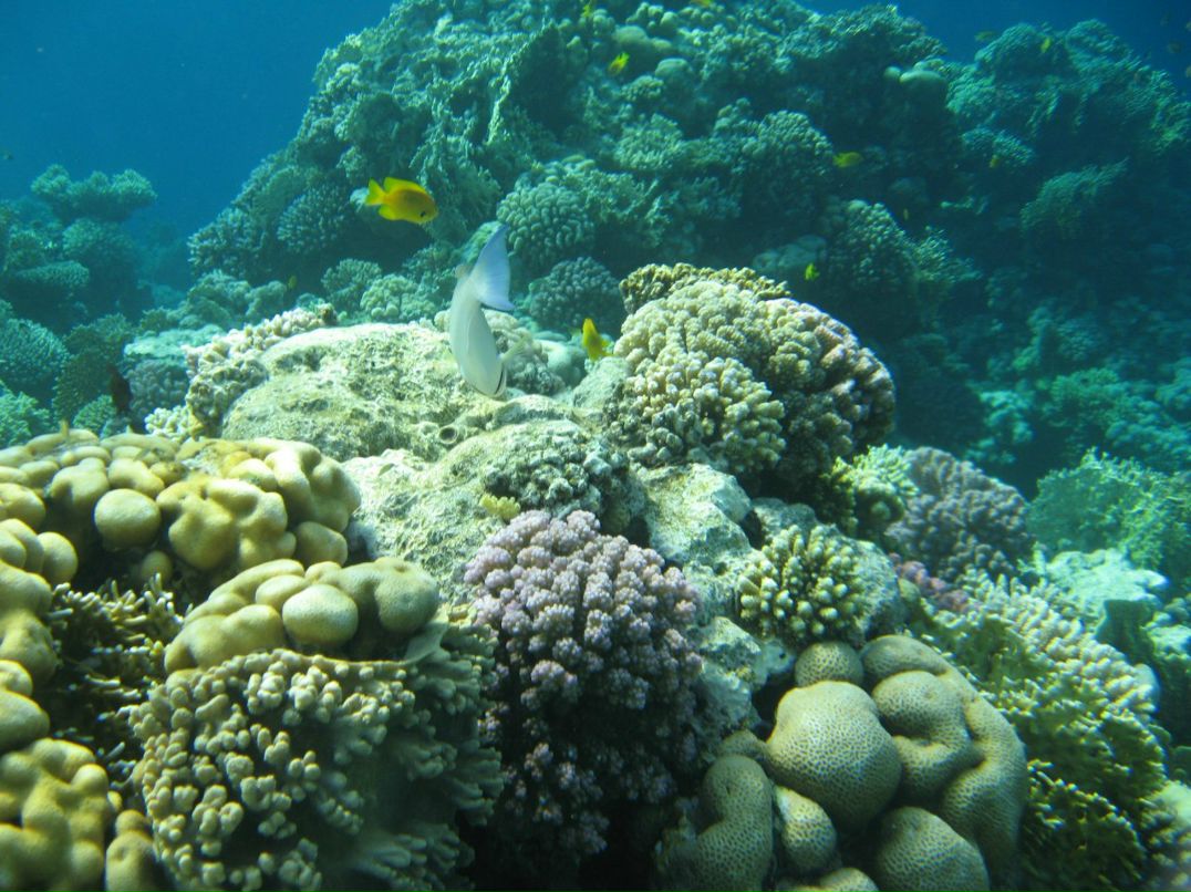 Надежда Кропачева | Киров