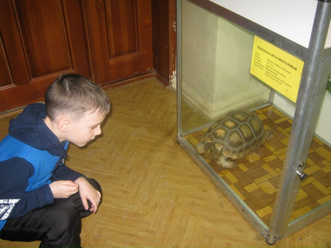 Алексей Михеев | Уссурийск