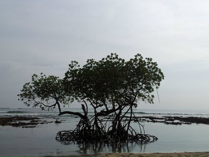 №36, Дмитрий Миров, 44 года, Санкт-Петербург №36, Дмитрий Миров, 44 года, Санкт-Петербург