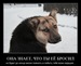 Татьяна Зайченко фотография #11 (источник - https://vk.com/id30743640)