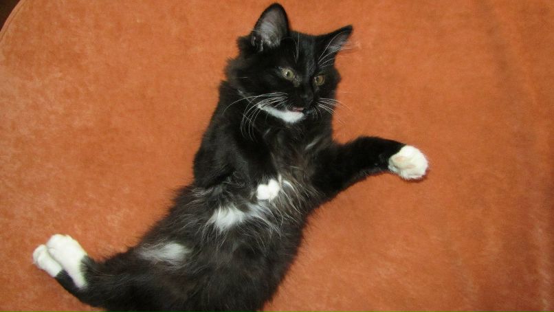 Ксения Романюк | Минск