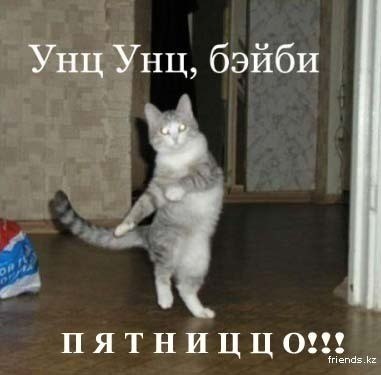 Анна Муранова | Warszawa