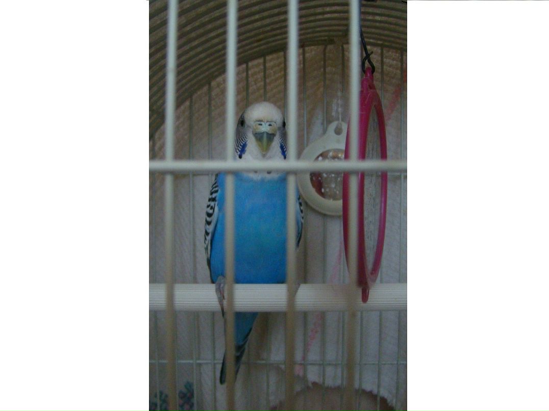 Маруся Зайцева | Ульяновск