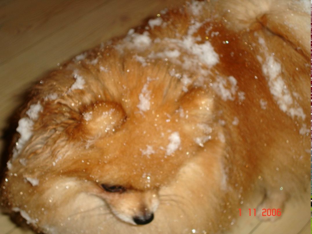 Юля Иванова | Санкт-Петербург