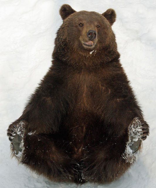 Галина Букач | Калининград