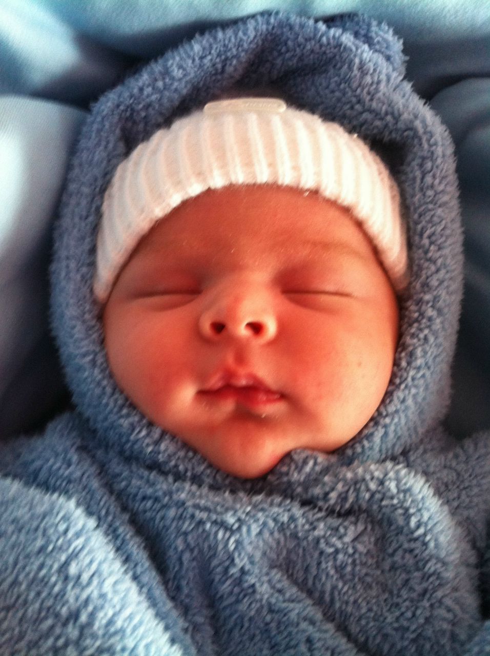 Александр Головин | Новосибирск