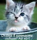 Фотография Лёля Кислякова