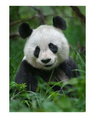 №104, Виктория Петренко №104, Виктория Петренко