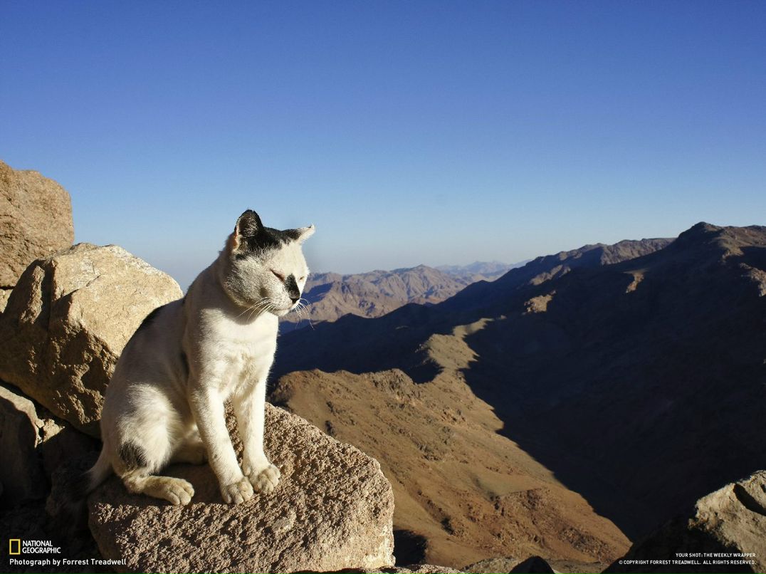 Артур Шустрых | Москва