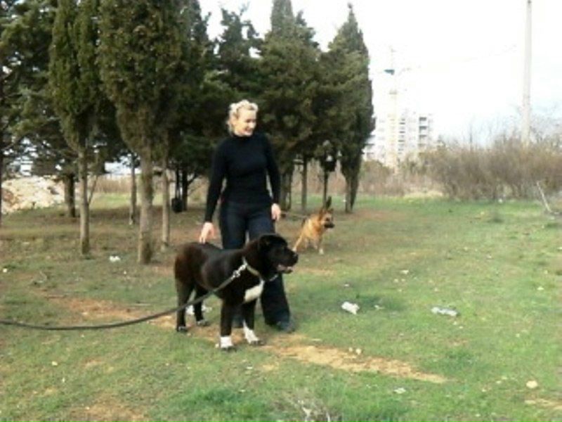 №15, Руслан Гордеев, Львов №15, Руслан Гордеев, Львов