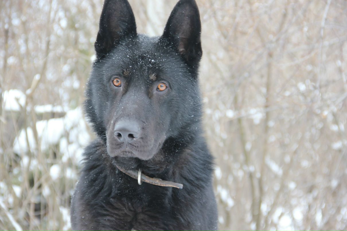 Ольга Битюкова | 