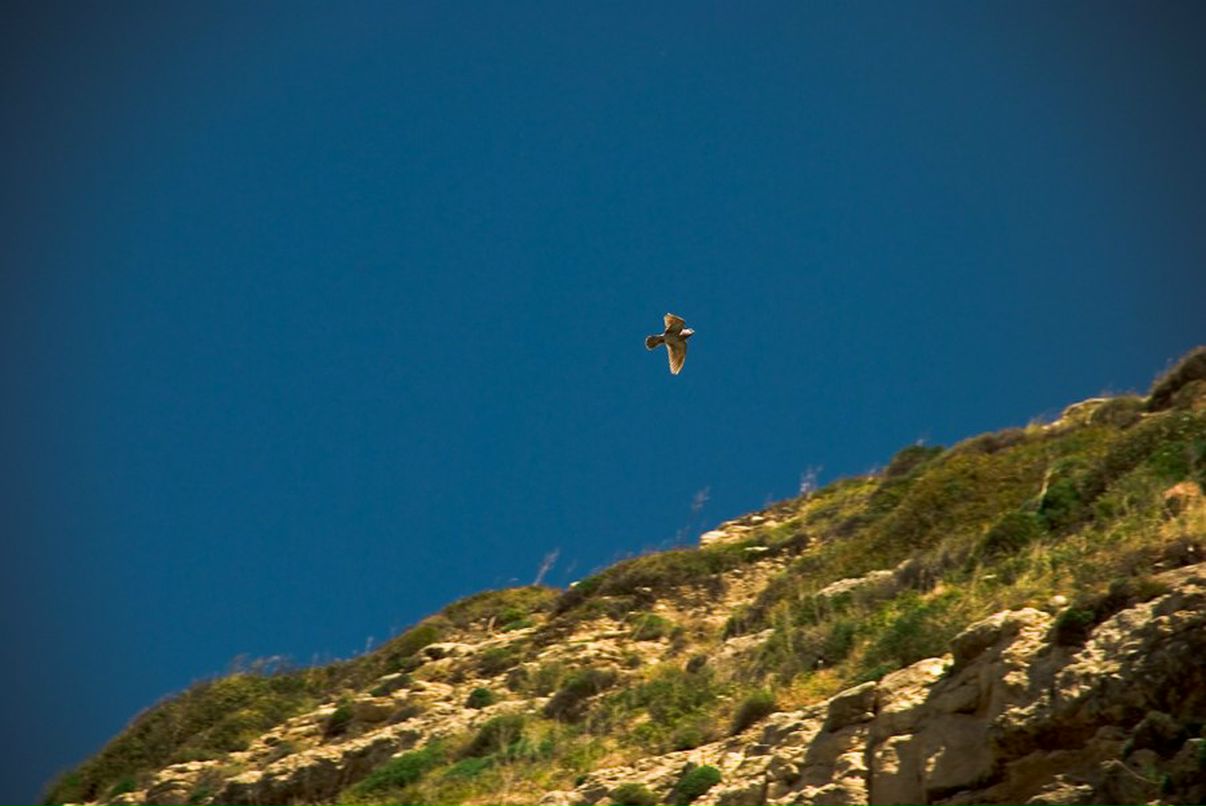 Mikhail Chipurnoi | Москва