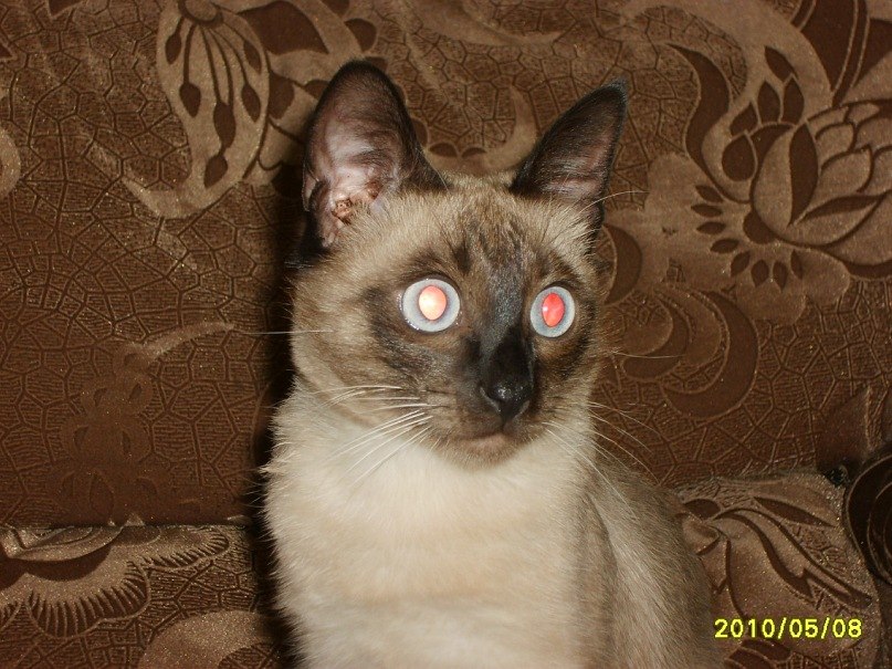 Баур Ермекбаев | Алматы