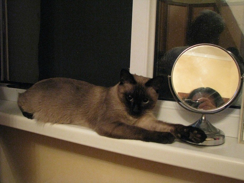 Баур Ермекбаев | Алматы