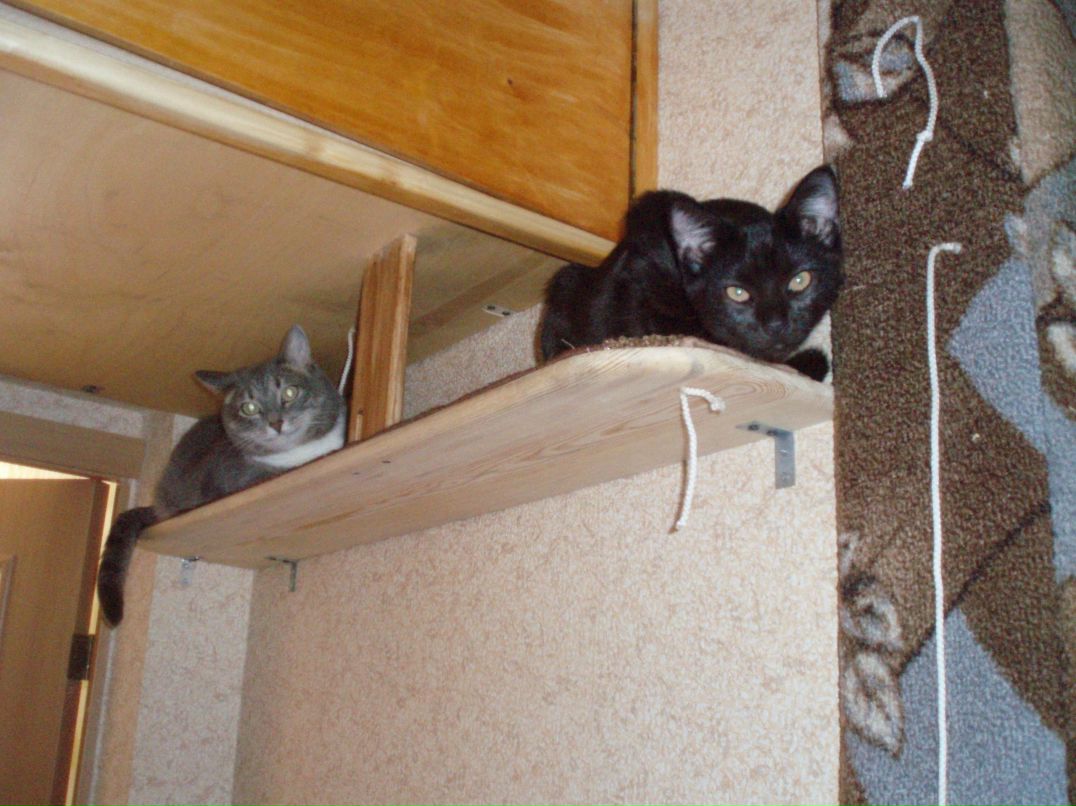 Екатерина Милославова | Череповец