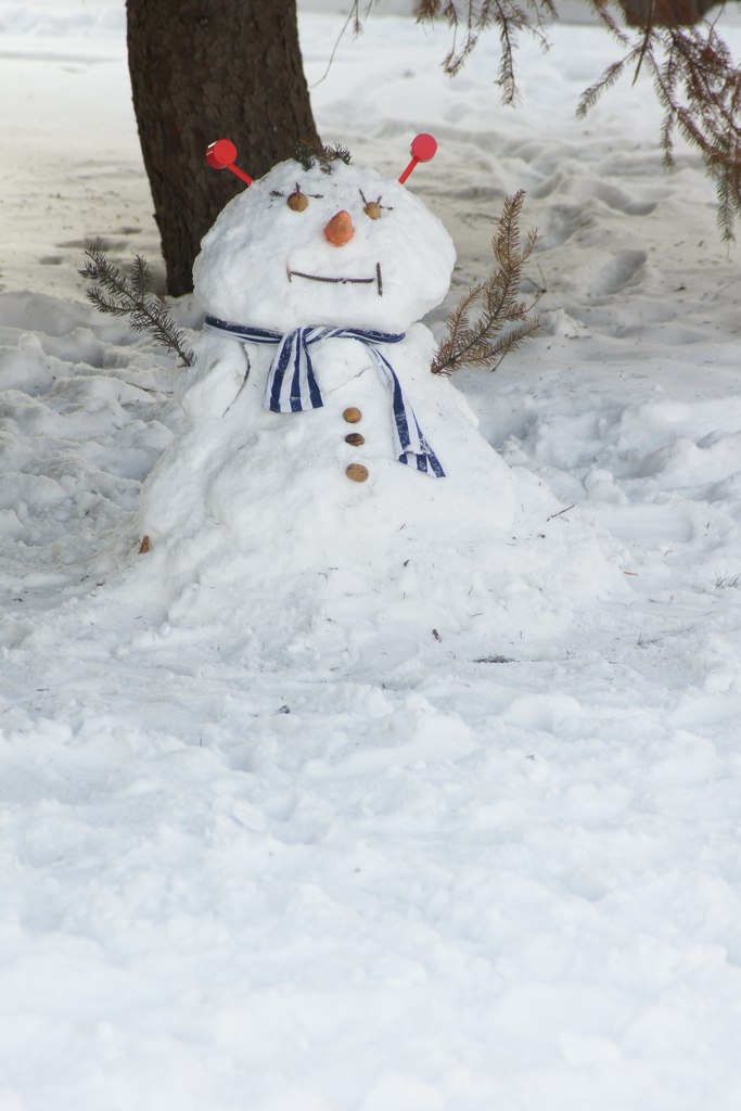 Slivon Shadow | Винница