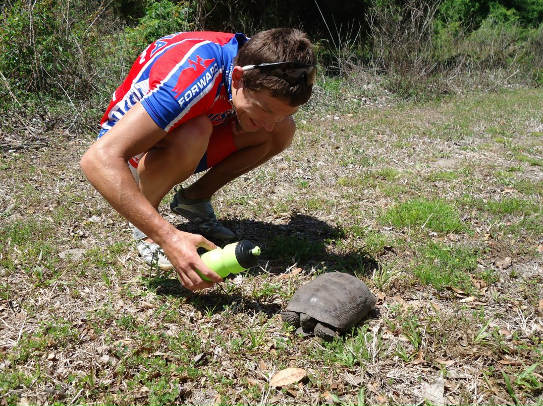 Дмитрий Ростягаев Rostik | Москва