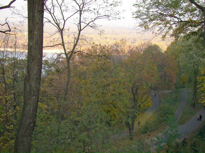 Александр Тарасов | Киев