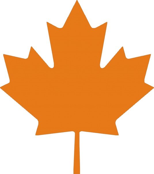 Кирилл Осинин ОК | Архангельск