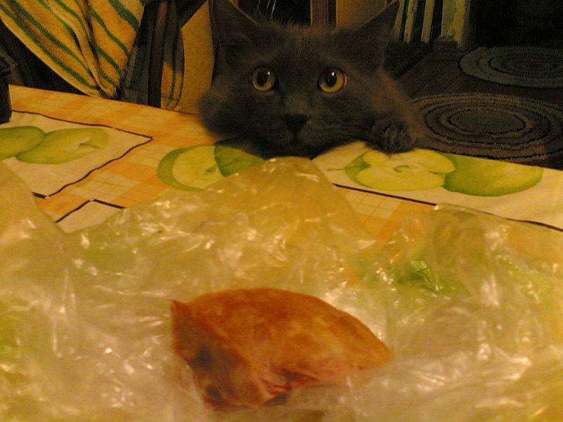 Николай Власов | Пермь