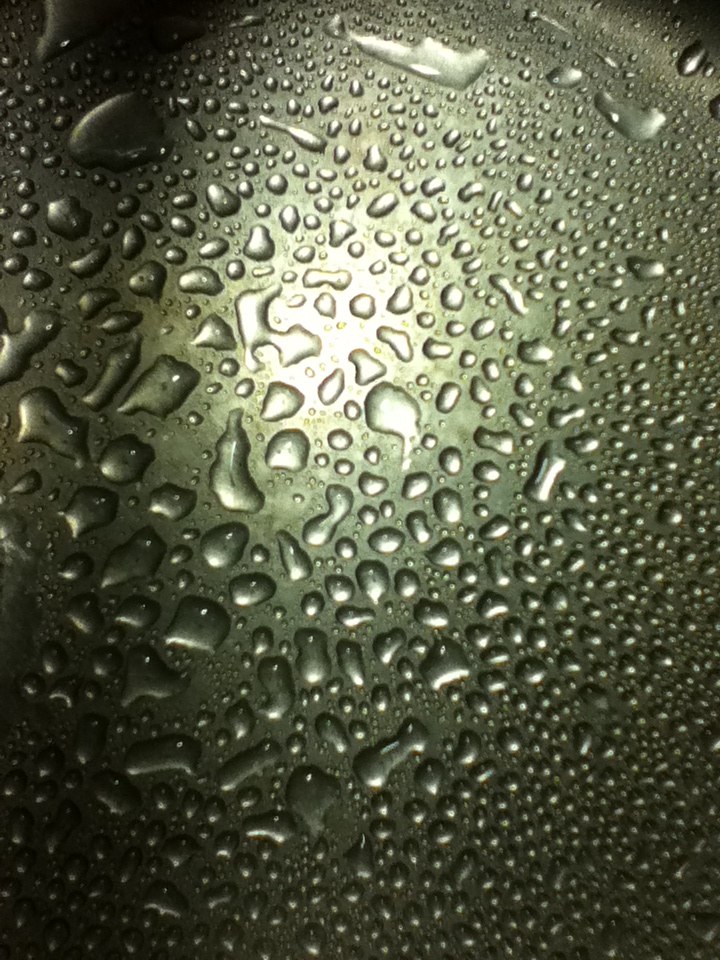 Катя Прокофьева | Санкт-Петербург