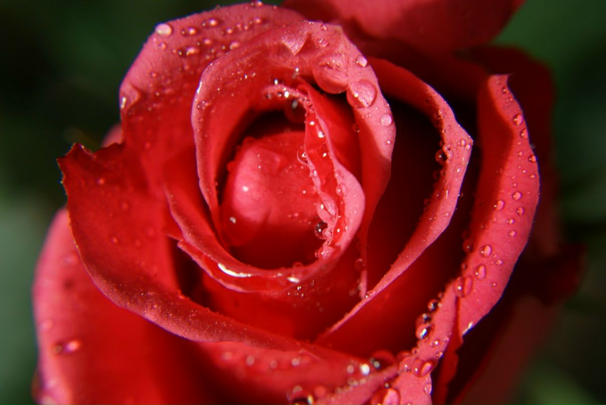 Мария Красильникова | Электросталь