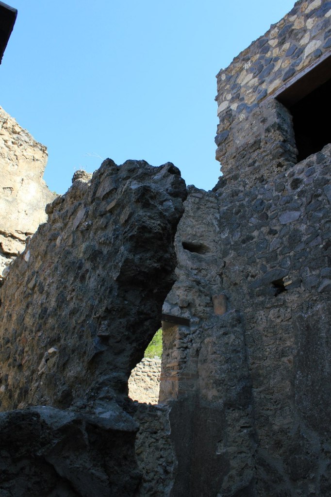 Елена Пугачёва | Санкт-Петербург