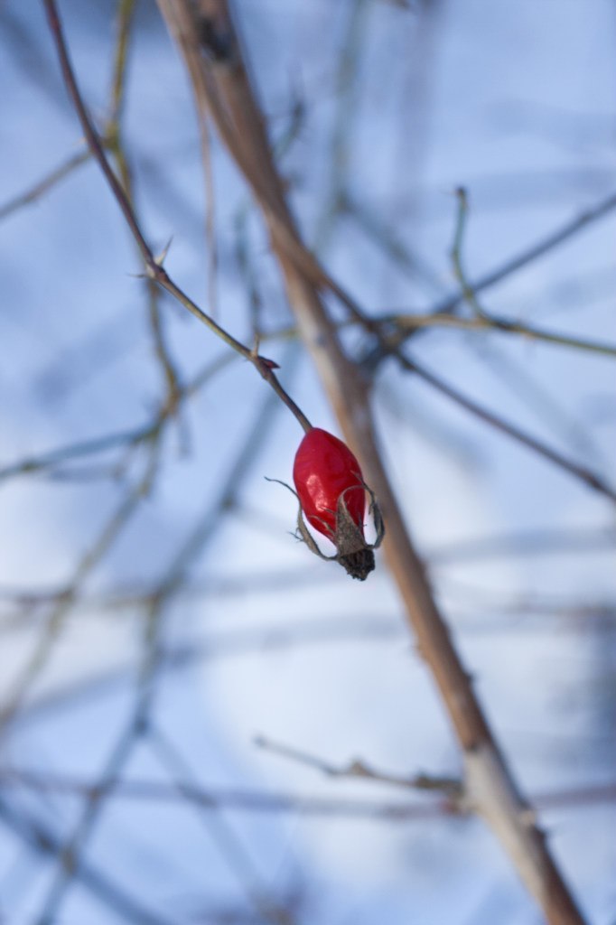 Наталья Сойко | Киев