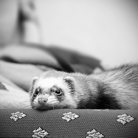 Анастасия Алкаева | Мурманск