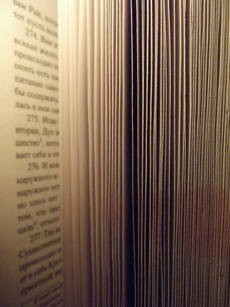 Natali Light | Москва