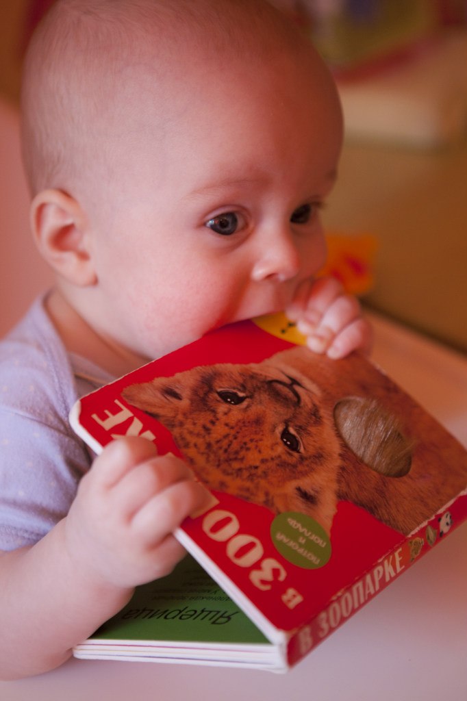 Kate Shamonova | Москва