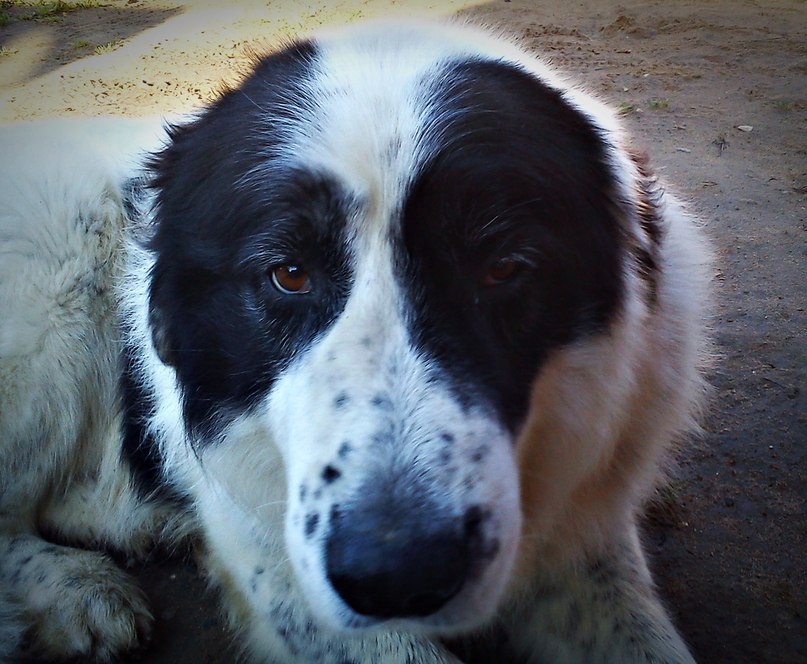 Оля Белочкина | Красногорск