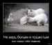 Василий Гаврилов фотография #49