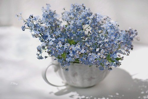 Valentina Baklanova | Рига