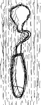 Олег Анатольевич | Москва