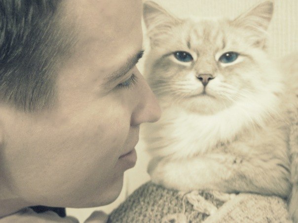 Андрей Коломиець | Полтава