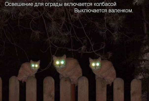 Денис Некрасов | Бахмут / Артемовск