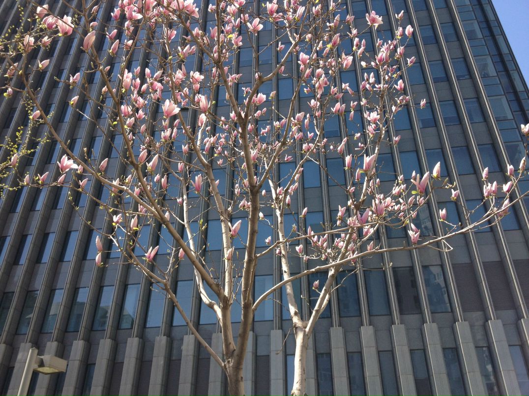 Мила Науменко | Москва