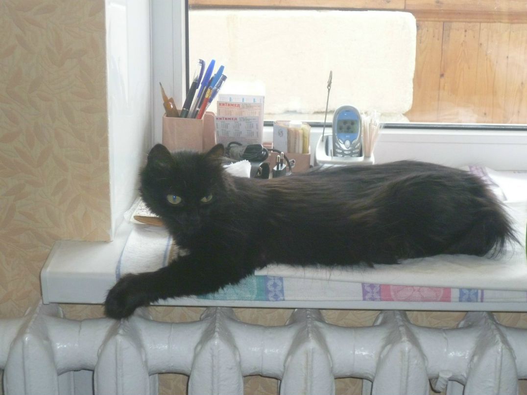 Надія Лаврук весна | Киев