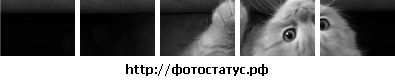 Фотография Яна Шпеньович