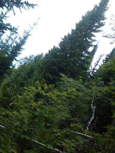 Артемий Чухнов | Красноярск