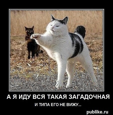 Виктория Андреева FL@Shka | Ухта