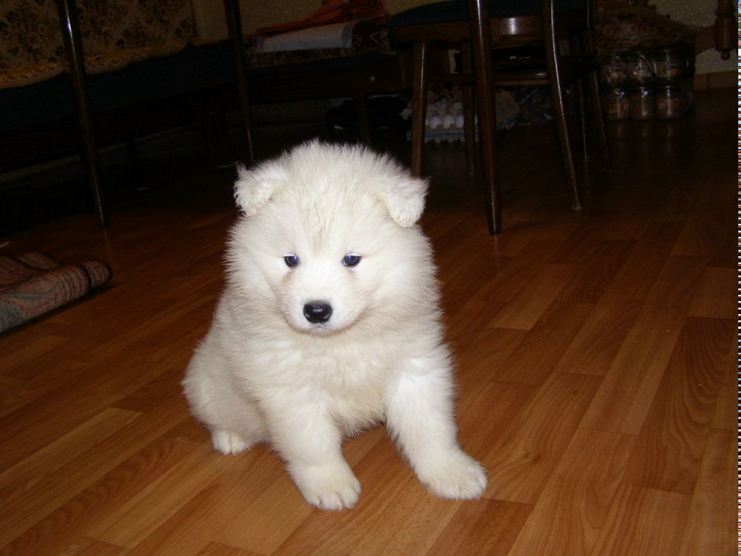 Виталий Константинов | 