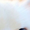 №36, Виталина Мач, Харьков №36, Виталина Мач, Харьков