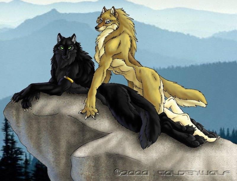 Артем Голотин | Екатеринбург