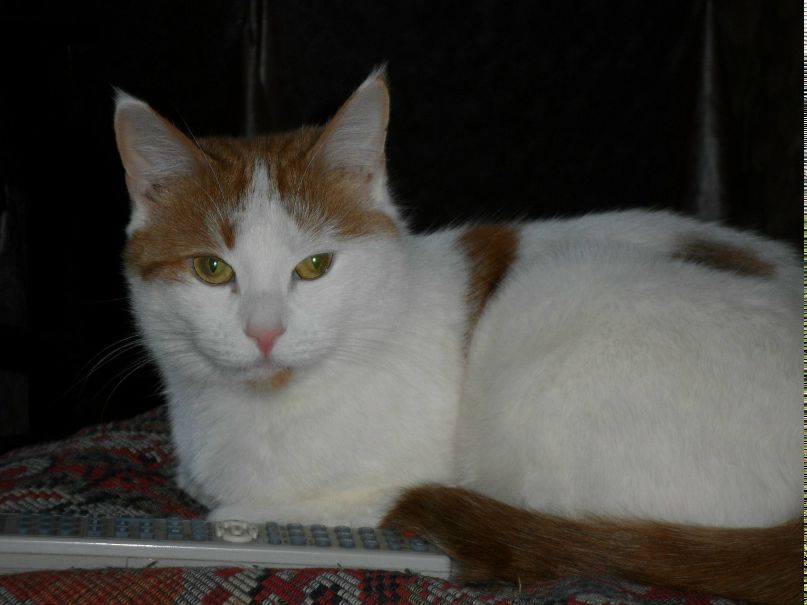 Наталья Самакова | Санкт-Петербург