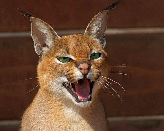 Сергей Зайцев | 