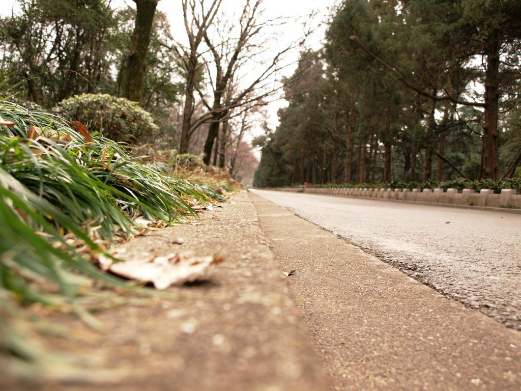 Владимир Лобода | Киев