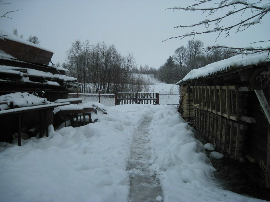Елена Курицина - Шмакова | Ярославль